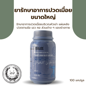 ยารักษาอาการปวดเมื่อย ขนาดใหญ่