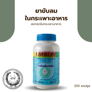 ยาขับลมในกระเพาะอาหาร